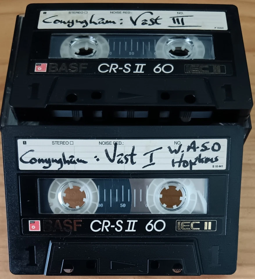 2 x used BASF CR-S II 60 cassette tape (label Conyngham Vast WASO Hopkins) - Image 1 of 1