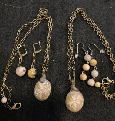 Collar y pendientes colgantes envueltos en alambre fosilizado dólar de arena natural Foto 1 de 4