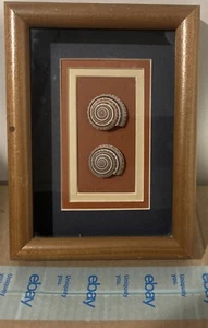 Framed Sea Shell Shadow Box Display - Vintage - Picture 1 of 3