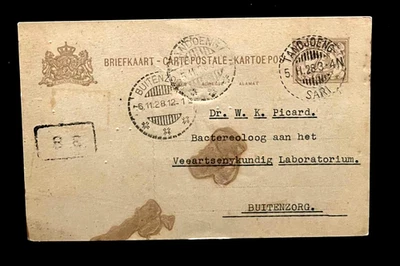 Нидерландская Индия: Briefkaart 71/2c, TANDJOENG - сари в Buitenzorg ('28) - Изображение 1 из 2