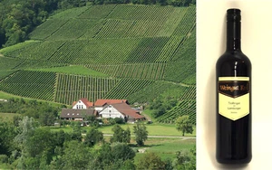 12x Trollinger mit Lemberger trocken, Weingut Keil - Württemberg, TL trocken - Bild 1 von 2
