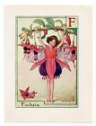 1940's Fuchsia Letter F, Flower Fairy, Fairies Print by Cicely Barker