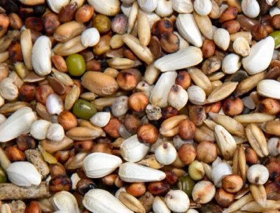 3KG POULTRY CONDITIONER SEED MIX poultry chicken show bird food with ANISEED