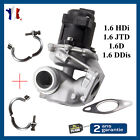 EGR Valve + Gaskets +2 Necklace for C3 207 307 1.6 HDI & 1.6 D=1618NR 31293171