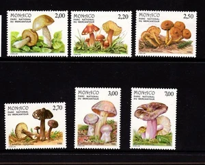Monaco Funghi Mushroom Pilzen Rif 65 - Picture 1 of 1