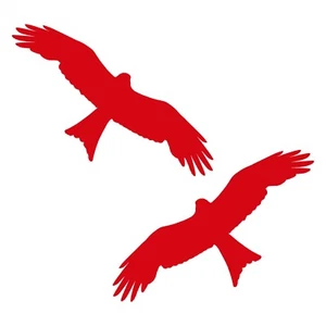 Hawk Sticker 2 Pack of Flying Bird Decals -Choose Color and Size - Bild 1 von 4