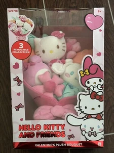 2025 Boxed Hello Kitty & Friends Plush Valentines Bouquet My Melody Cinnamoroll - Picture 1 of 6