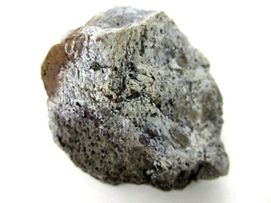 Dinosaurier Fossil Knochenfragment Morrison Formation Oberjura - Bild 1 von 9