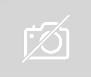 Reposacabezas trasero VOLKSWAGEN NEW BEETLE 1 PHASE 1 1C0885901TC29 - Imagen 1 de 6