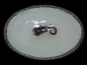 TH13126 VINTAGE 70er **ECHTER SKORPION** WESTERN & COWBOY GÜRTELSCHNALLE - Bild 1 von 2