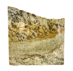 8 x 7 x 1" Countertop Scrap Natural Marble Slab 6 lb 10 oz Gold Rust Feldspar - Picture 1 of 5