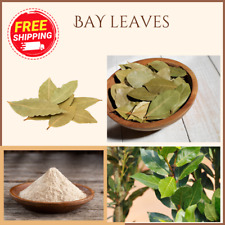 Bay Leaves High Quality Organic Dried Laurus Free shipping Nobilis Picked