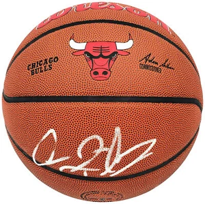 DENNIS RODMAN AUTOGRAPHED COMPOSITE LEATHER BULLS LOGO BASKETBALL BECKETT 224809 - Picture 1 of 9