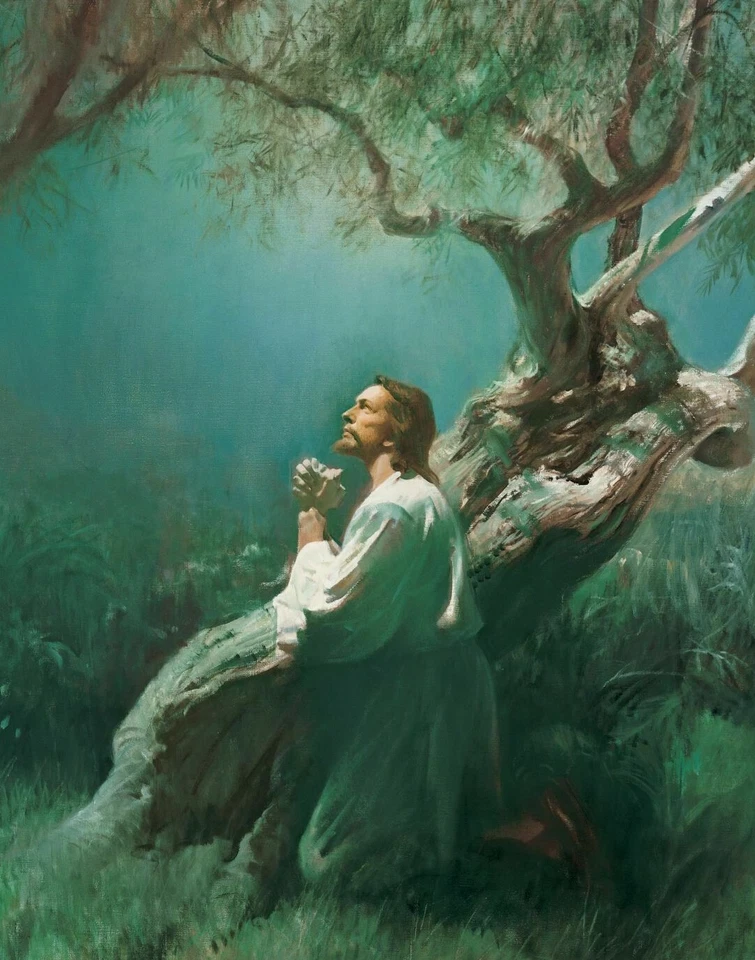 JESUS IN GETHSEMANE Glossy Picture Photo Poster Lord Christ Praying Christian - Image 1 of 1