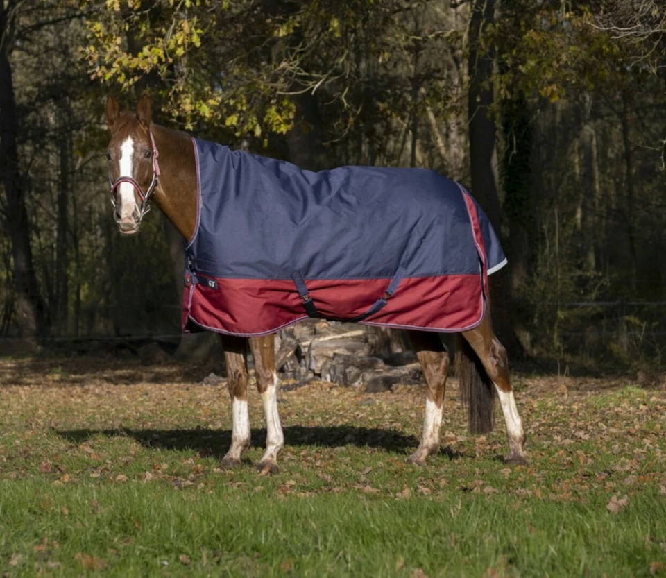 Pferde Outdoordecke 50g High Neck Equithème 1200D Weide- Regendecke blau/rot - Bild 1 von 4
