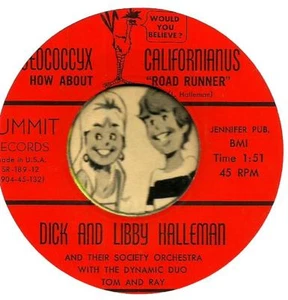 DICK & LIBBY HALLEMAN ROAD RUNNER GROUP GARAGE ROCKABILLY INST. 45 RPM RECORD - Picture 1 of 1