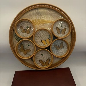 Vintage Acrylic Serving Tray W/coasters MCM Pressed Butterfly Flower Bamboo Tiki - Picture 1 of 9