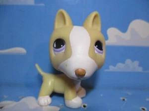 PETSHOP CHIEN BULL-TERRIER N°860 - Picture 1 of 2