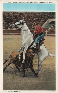 POSTAL PICADOR & CABALLO CARGADO POR CORRIDA DE TOROS CIUDAD JUÁREZ MÉXICO AÑOS 20 - Imagen 1 de 2