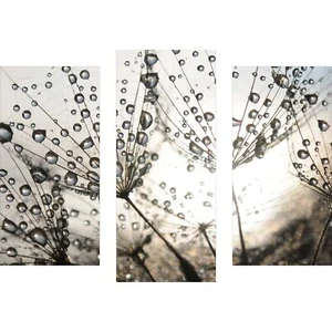 Wandbilder Pusteblume Grau 90x70 Glas 3 Teilig Acryl Bild Acrylglasbilder Deko - Bild 1 von 2