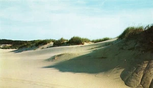 Schatten der Dünen, Cape Cod, Massachusetts -- POSTKARTE - Bild 1 von 2