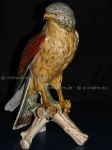 Goebel 23cm VOGEL, Falke Adler Eagle Falcon Hawk - Picture 1 of 1