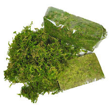 Fresh Sphagnum Moss - Live Basket, Orchid, Reptile, Wreath Planting Peat Moss