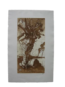 Horst Janssen (1929-1995) Liselottenland pasture origin etching signed 1987 - Picture 1 of 5