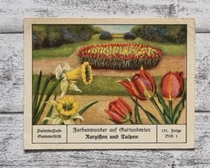 Narzissen Tulpen Gartenbeete Farbenwunder Palmin Post Sammelbild 151 Werbung alt - Bild 1 von 2