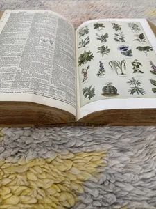 HUGE Vintage Unabridged Webster's International Dictionary 1958 Beautiful  Big - Picture 1 of 10