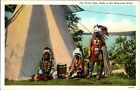The Peace Pipe Dells Wisconsin Native American Teepee River Head Dress Postcard