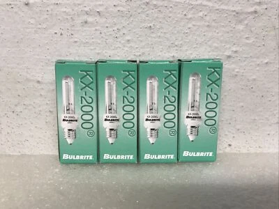 Bulbrite KX-2000 Mini Candelabra Base E11 KX60CL/MC Lot Of 4 Bulbs New - Image 1 of 4