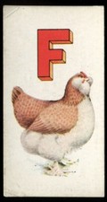 Tobacco Card, Imperial Canada, POULTRY ALPHABET, 1924, F, #6