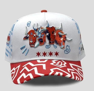 Sombrero de artista de los Chicago Bulls 2025 6 de diciembre envío de preventa después de primer sombrero rápido #1 - Imagen 1 de 1