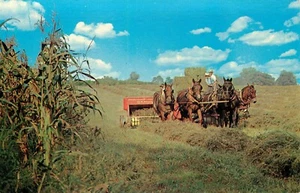 Postal People Amish Hay Harvest Lancaster Pennsylvania Marshall Dussinger - Imagen 1 de 2
