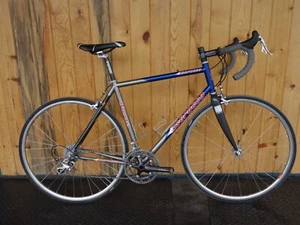 Serotta Fierte Steel/Carbon Choros 10sp Endurance - Picture 1 of 21