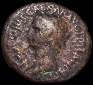 Come Augusto - Foto 1 di 2