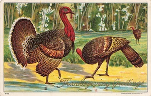 POSTAL DE ACCIÓN DE GRACIAS DE COLECCIÓN DOS PAVOS EN EL BOSQUE EN RELIEVE c1910 101624 T - Imagen 1 de 2
