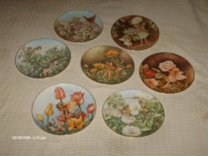 7 Border Fine Arts Feenteller von Cicely Mary Barker 20 cm breit Michaelmas Gänseblümchen - Bild 1 von 13