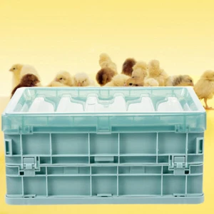 1 Set Plastic Parrot Incubator Young Birds Parrot Brood Supplies With - Picture 1 of 12
