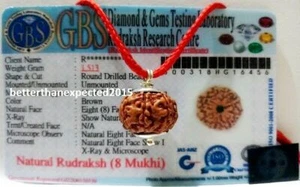 8 Mukhi rudraksha / Eight Face Rudraksh- Java Silver Pendant -Certified 16-18 MM - Picture 1 of 4