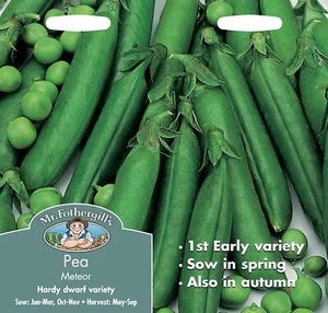 WINTER Peas Meteor HARDY Mr Fothergills Vegetable 350 Pea Seeds FREE UK DELIVERY - Picture 1 of 2