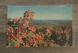 Vermont Hogback Mountain Platform su Molly Stark Trail cartolina d'epoca c1967 - Foto 1 di 2