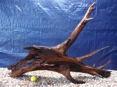 XX-Large Driftwood 25"x36"x12" Aquarium Terrarium Reptile Natural Art - Image 1 of 4