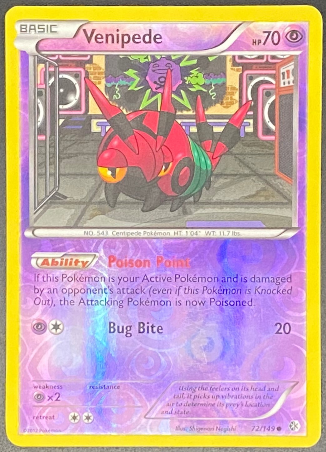 Pokémon Venipede Reverse Holo 72/149 BCR Boundaries Crossed LP/NM