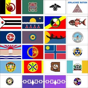 Native Flag Abenaki American Indian AIM Anishinabe Apalachee Arapaho Athabascan - Picture 1 of 55