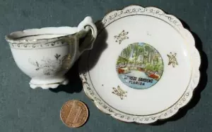 1960s Era Winter Haven Florida Cypress Gardens miniature teacup & saucer set---- - Picture 1 of 1