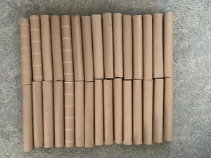 Lote de 30 rollos de toalla de papel vacío tubos de cartón proyectos escolares artesanales - Imagen 1 de 2