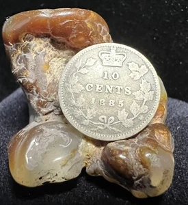 1885 Canada 10 Cents - Scarce Date - World SIlver - Picture 1 of 2