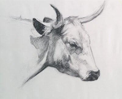 Dibujo Original Vaca Carbón - 20" x 16" - Arte Animal Contemporáneo Foto 1 de 4